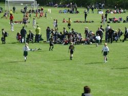 Mayfest land at Tawawa Park