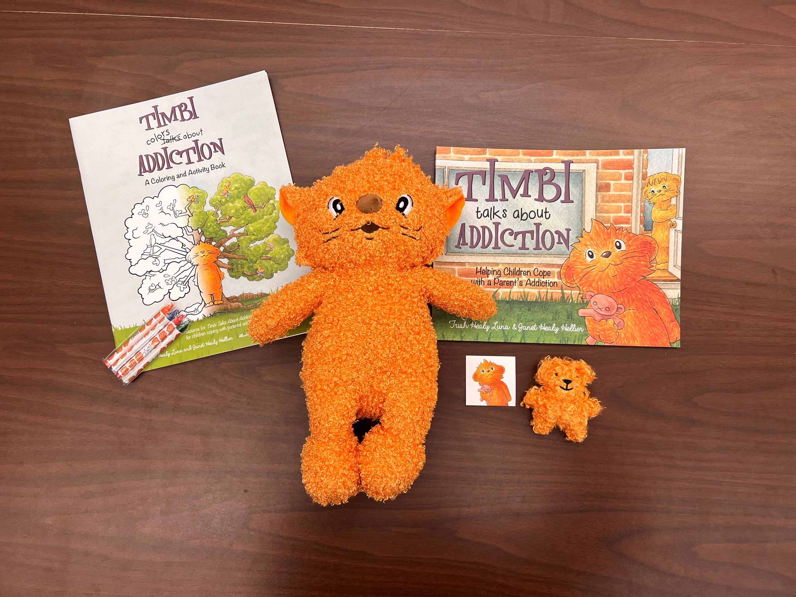 Timbi the Bear Deluxe kit with coloring book, stuffed animal and book about addiction