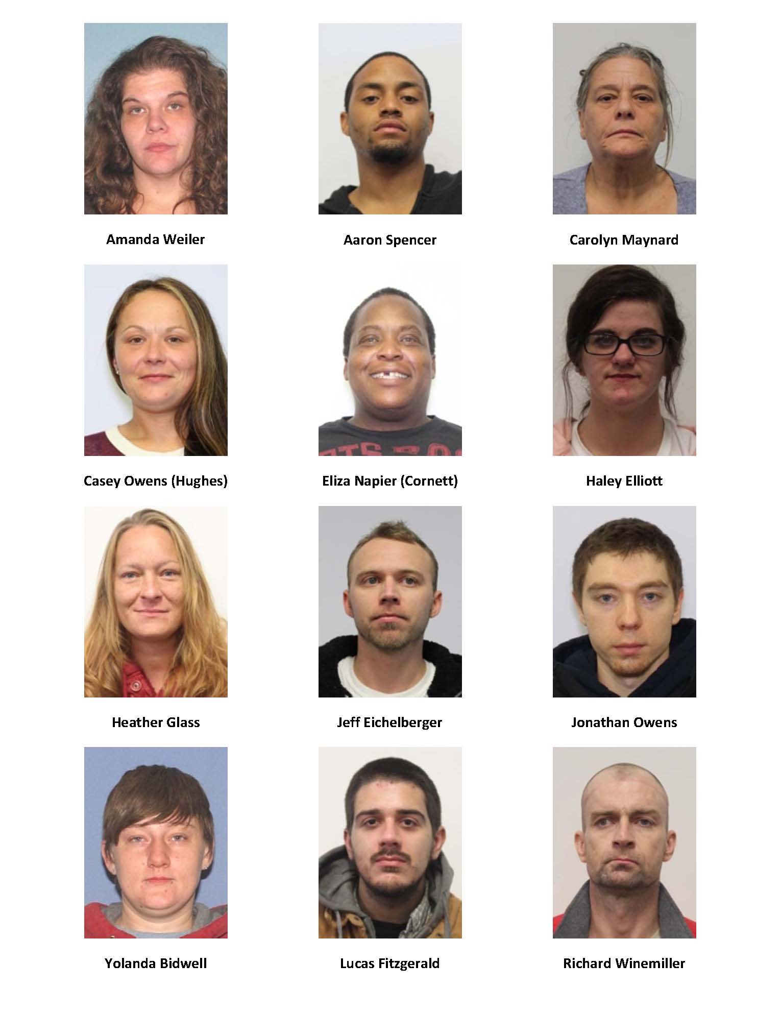 Matrix showing pictures of 12 individuals with felony warrants being sought by police